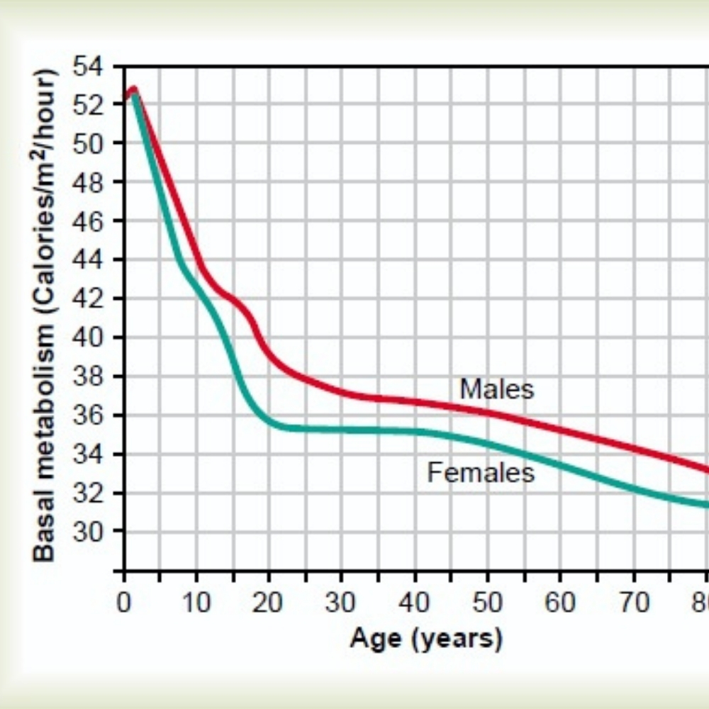 MePlate meal plan example